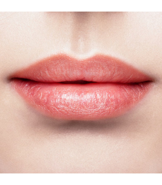 The Nourishing Lip Treatment (Tinted)  (El Tratamiento Nutritivo para Labios con Color)